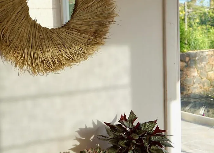 Siempre Feliz La Casita Escanfraga