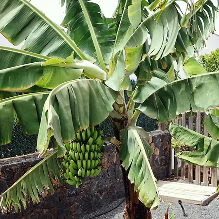 Appartamento Siempre Feliz La Casita Escanfraga