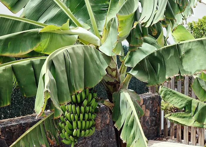 Lägenhet Siempre Feliz La Casita Escanfraga
